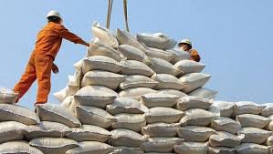 Xuất khẩu gạo sẽ tăng nhẹ trong quý I