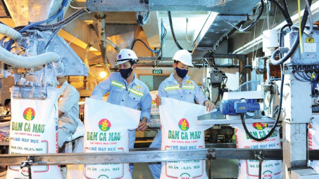 Lãi lớn, Đạm Phú Mỹ tạm ứng trước 5% cổ tức cho năm 2018