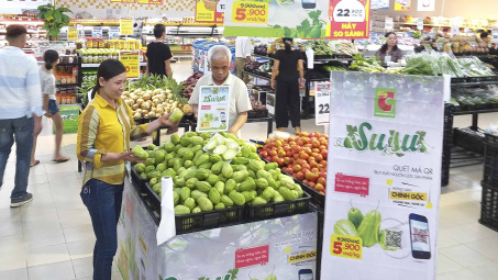 Big C mở rộng đầu ra cho su su Hoàng Mai, Nghệ An