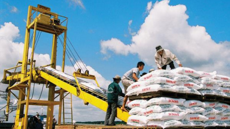 Phân bón DAP kích thước không đồng đều không được phân loại như “dạng viên”