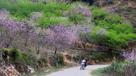 5 món đồ công nghệ nhất định phải có để du Xuân