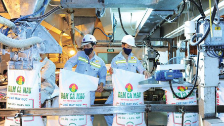 Đạm Cà Mau: Hành trình 8 năm không ngừng sáng tạo