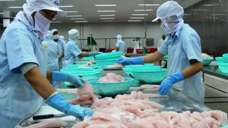 Cá tra xuất khẩu sang EU tăng gần 30%