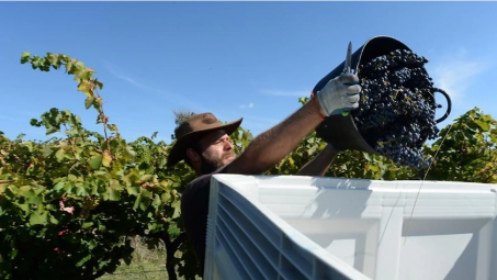 Australia  nới lỏng quy định thị thực cho lao động nước ngoài