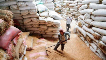 Ai Cập mời thầu quốc tế nhập khẩu khoảng 20.000 tấn gạo