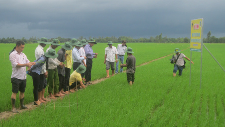 Nhà nông sẽ trở thành chuyên gia trên đồng ruộng
