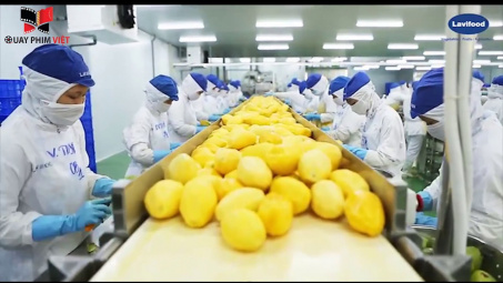 Lavifood sẽ đầu tư nhà máy chế biến rau quả 100.000 tấn/năm tại Hải Phòng