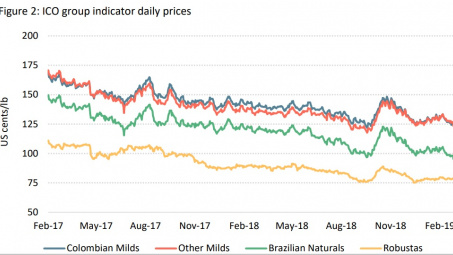 ICO: Báo cáo tổng hợp thị trường cà phê thế giới tháng 2/2019
