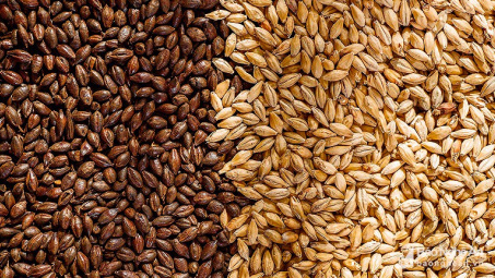 Nông sản 10/4/2019: Lúa mì giảm phiên thứ 5 liên tiếp, cà phê phục hồi