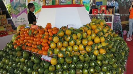 90% hàng hóa tại hệ thống thương mại lớn là hàng Việt