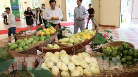 Bộ Công Thương hỗ trợ doanh nghiệp trưng bày hàng hóa tại Nam Phi