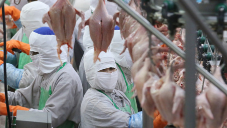 CP Food Thái Lan đầu tư 200 triệu USD xây dựng nhà máy chế biến gia cầm và thịt heo ở Việt Nam