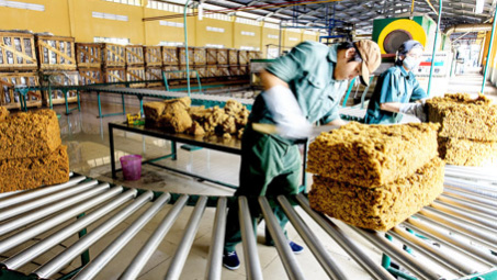 Xuất khẩu cao su tăng mạnh so với cùng kỳ năm trước