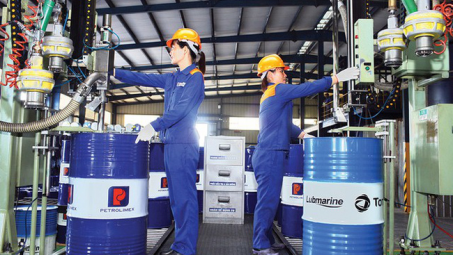 Hóa dầu Petrolimex (PLC) - Hàng Việt Nam tin dùng năm 2019