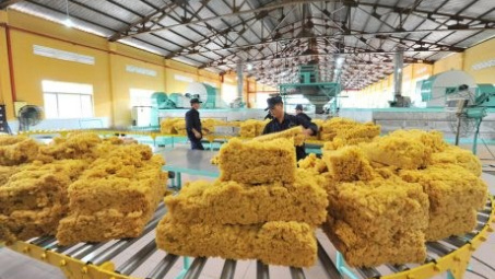 Xuất khẩu cao su tăng mạnh so với cùng kỳ