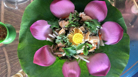 Vấn vương sen hồng