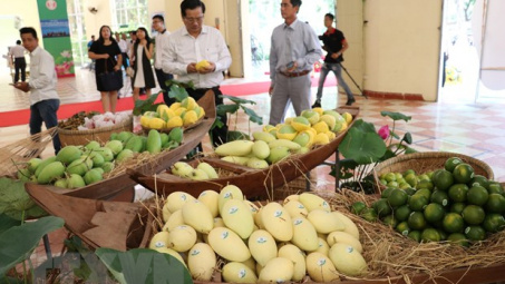 An Giang sẽ xuất khẩu xoài sang thị trường Mỹ trong tháng 6