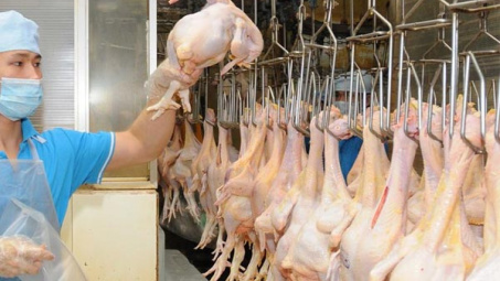 CP sẽ xuất khẩu thịt gia cầm đã qua chế biến