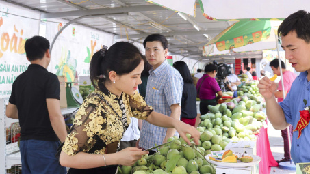 Sản lượng tiêu thụ nông sản Sơn La tăng 20 lần tại hệ thống Big C