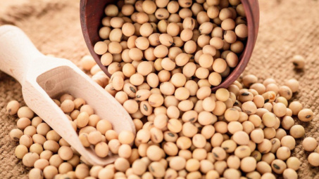 Giá nông sản Mỹ tuần qua đi lên