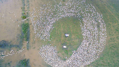 Miền Tây đẹp ngút ngàn mùa nước nổi