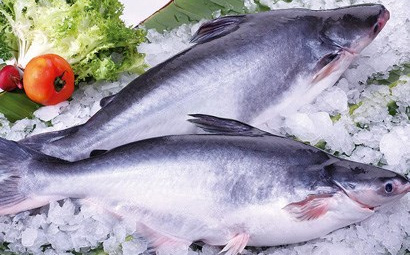 ASEAN - Thị trường tiềm năng của cá tra Việt