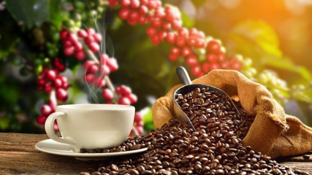 Trung Quốc giảm nhập khẩu cà phê từ Việt Nam