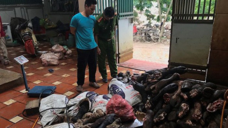 Phát hiện hơn 3 tấn chân bò, nội tạng gia súc nhập lậu