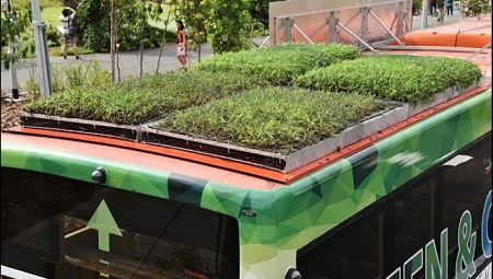 Trồng cây trên xe buýt