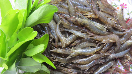 Hương vị quê hương: Tôm đất quyện hương chanh