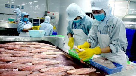 Xuất khẩu cá tra sang 10 nước nước CPTPP: Nhiều cơ hội mở rộng thị phần