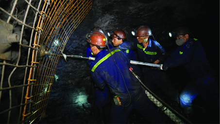 Than Nam Mẫu: Hiệu quả cao từ ứng dụng công nghệ  và tự động hóa