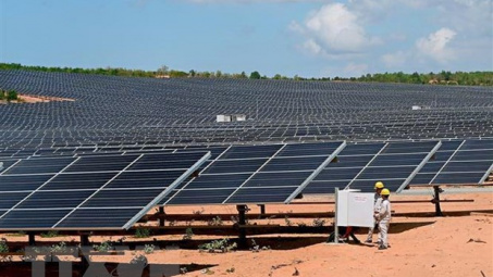 Nhà máy điện mặt trời Phước Hữu - Điện lực 1 chính thức đi vào hoạt động