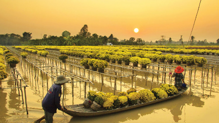 Check-in Sa Đéc, làng hoa lớn nhất miền Tây