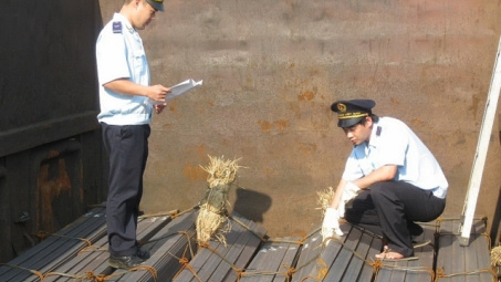 Rà soát và ấn định thuế đối với thép góc không hợp kim