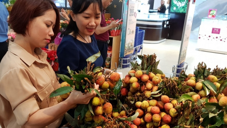 Vải thiều Lục Ngạn có mặt tại 700 điểm bán của Saigon Co.op