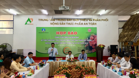 Vải thiều Lục Ngạn sắp đổ bộ Thủ đô, phục vụ người tiêu dùng