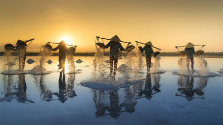 Đẹp ngỡ ngàng cánh đồng muối Bạch Long
