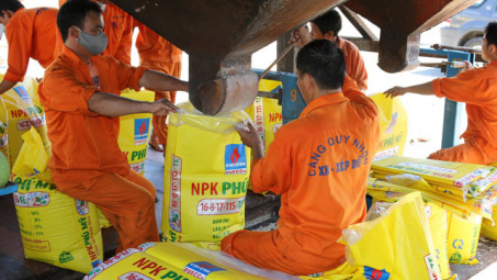 Nhiều công thức NPK Phú Mỹ mới được “ra lò”