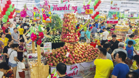 500 tấn Thanh long Bình Thuận dự kiến được tiêu thụ tại Big C và GO! của Central Group