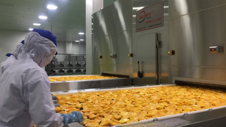 100 tỷ đồng đầu tư Nhà máy chế biến nông sản hữu cơ đầu tiên tại Quảng Trị