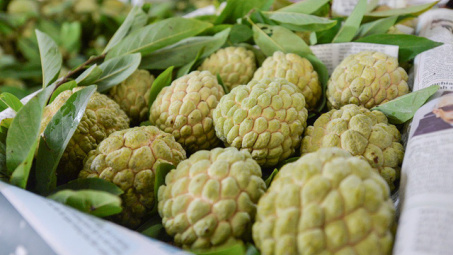 Ngày hội na Chi Lăng lần thứ 3 quy tụ nhiều gian hàng tham gia trưng bày sản phẩm