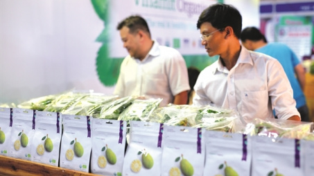 Vinamit bắc cầu Organic vào Trung Quốc