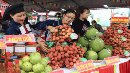 Bắc Giang: Gần 11,6 tỷ đồng hỗ trợ phát triển thương hiệu nông sản hàng hóa cấp tỉnh