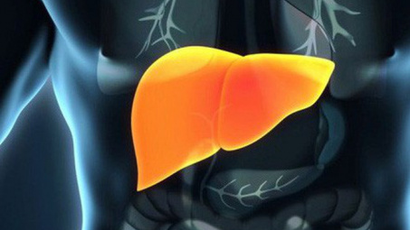 Không chỉ uống rượu, ăn chất béo cũng bị gan nhiễm mỡ