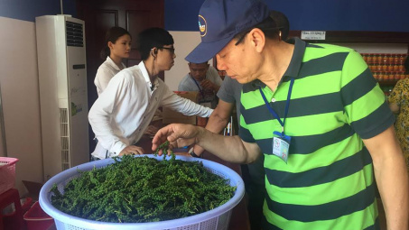 Chuyện chiều thứ 6: Người xứ Bắc ở Phú Quốc