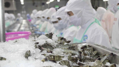 Lịch sử 13 vụ rà soát chống bán phá giá, lần thứ 2 tôm Việt Nam nhận tin vui từ Mỹ