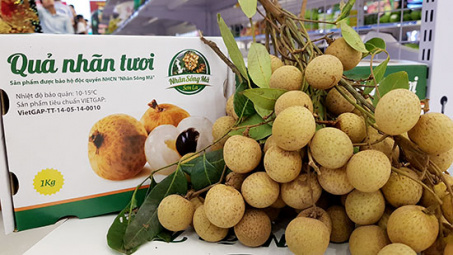 Sơn La: 60 tấn nhãn xuất khẩu sang thị trường Trung Quốc và các nước