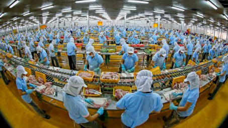 Làm gì để doanh nghiệp hiểu đúng, hiểu sâu về CPTPP?