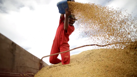 Trung Quốc ngừng mua nông sản Mỹ